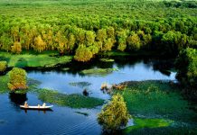 Rừng tràm Trà Sư – hệ sinh thái ngập nước vô cùng phong phú