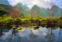 Kinh nghiệm đi du lịch Chùa Hương