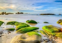 Khám phá vẻ đẹp lạ bãi Cổ Thạch, Bình Thuận