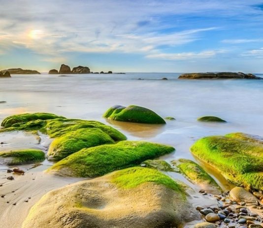 Khám phá vẻ đẹp lạ bãi Cổ Thạch, Bình Thuận