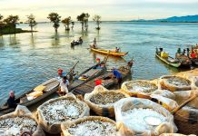 Ngỡ ngàng vẻ đẹp miền Tây mùa nước nổi