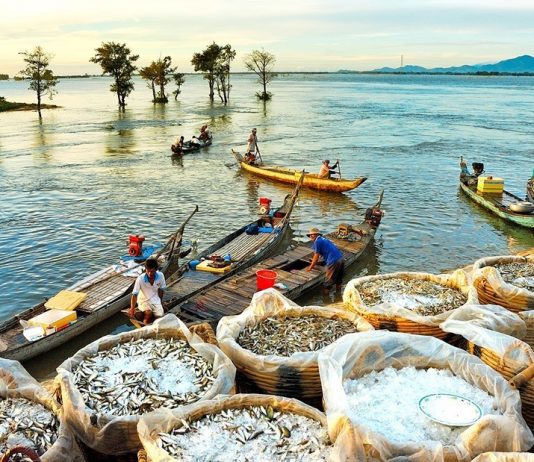 Ngỡ ngàng vẻ đẹp miền Tây mùa nước nổi