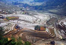 Kinh nghiệm du lịch Mường Lát