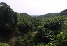 Khám phá Hang Lạng, điểm du lịch lý tưởng