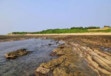 Khám phá vẻ đẹp nên thơ trên đảo Bạch Long Vĩ