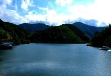 Sự thật về Hồ Ly Yên Lập