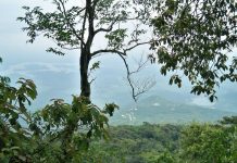 Du lịch vườn quốc gia Ba Vì – Lá phổi xanh của thủ đô Hà Nội