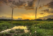 Khám phá vườn quốc gia Nam Cát Tiên