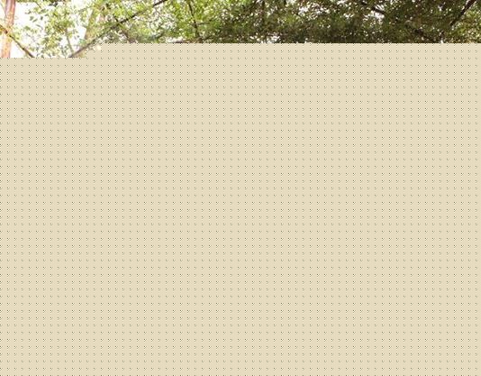 Tour du lịch cho sinh viên ưu đãi hấp dẫn