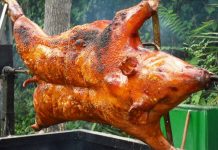 Lợn rừng quay móc mật nguyên con