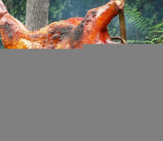 Lợn rừng quay móc mật nguyên con