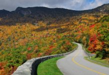 20 con đường đẹp tuyệt bạn nên thử khám phá trong đời ?