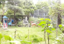 Khu sinh thái gần Hà Nội của gia đình