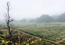 6 Kinh nghiệm đi chơi mùa mưa bão hữu ích của bạn Kinh nghiệm đi chơi mùa mưa bão