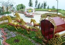 Đà Nẵng điểm du lịch đáng nhớ 3