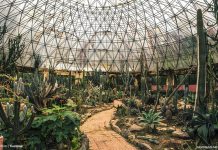 Công viên kỷ Jura Ba vì bạn đã đến chưa?