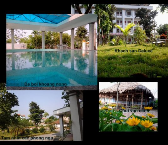 Giới thiệu Ngọc Sơn resort