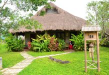 Giới thiệu Cúc Phương resort