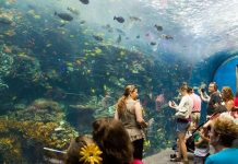 Giới thiệu Thiên Đường Bảo Sơn