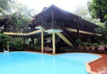 Giới thiệu Vịt Cổ Xanh Resort