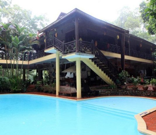 Giới thiệu Vịt Cổ Xanh Resort