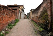 Kinh nghiệm du lịch làng cổ Đường Lâm đơn giản rễ dùng