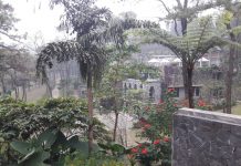 Kinh nghiệm đi du lịch Ba Vì tiết kiệm – mà vẫn vui