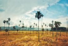 Yêu thương xa nhớ – Về với Tây Nguyên nắng gió