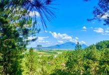 KINH NGHIỆM ĐI DU LỊCH THANH THỦY TIẾT KIỆM & THOẢI MÁI